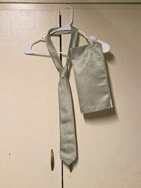 Hisdern Sage Green Mens Necktie With Matching Pocket Square